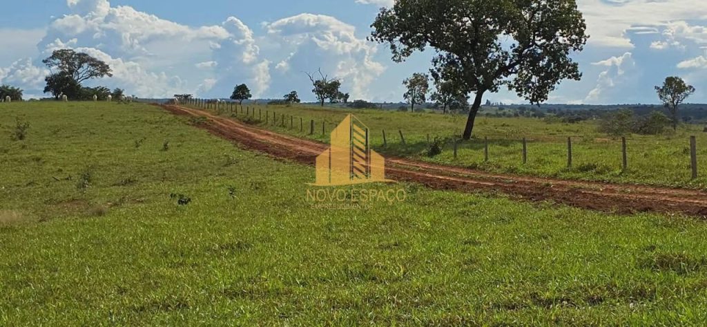 ESPETÁCULO DE FAZENDA DE 500 HECTARES PROXIMO A VARJÃO DE MINAS